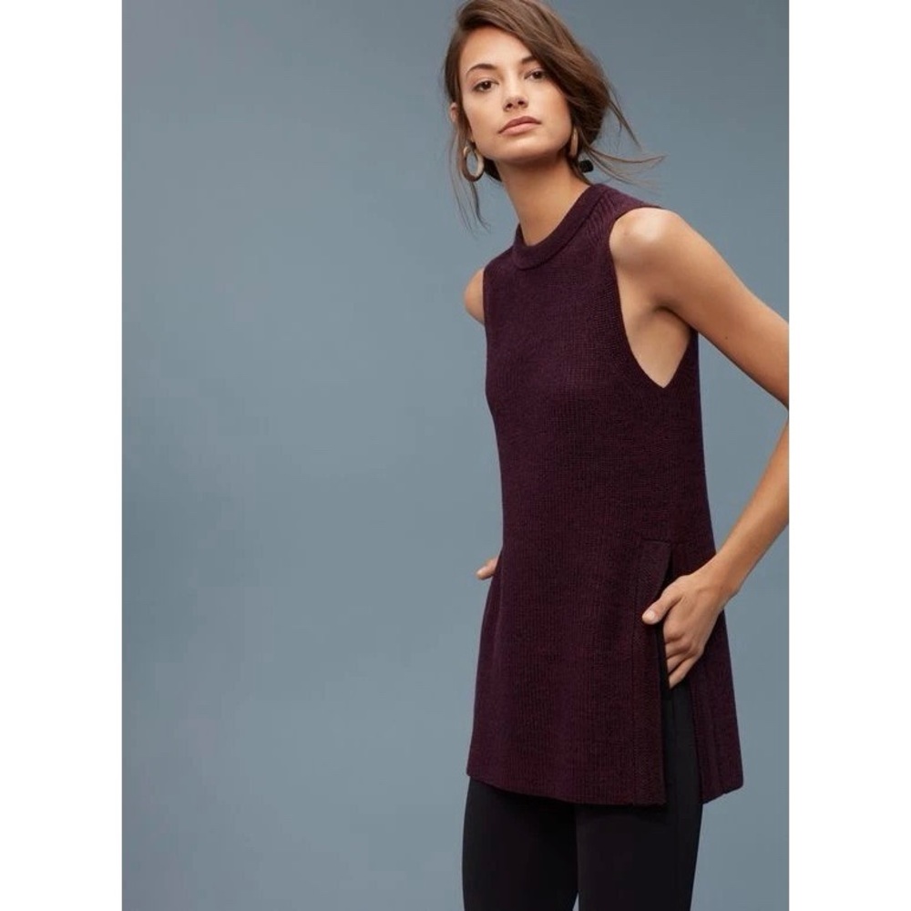 Wilfred Palmier Sweater (Aritzia)